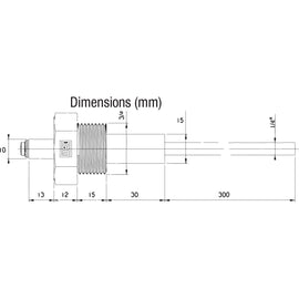 EHW WEG Shaft/Rod Type Electrode, 300mm Length