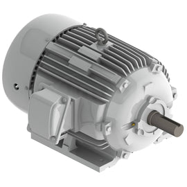 EP03045 Teco-Westinghouse 30 HP Cast Iron Electric Motor, 1800 RPM