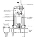 SWF200M6-20 Ashland 2HP Sewage Pump, 208VAC 3 Phase-1