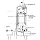 SWFD100M2-20 Ashland 1HP Sewage Pump, 230VAC Single Phase-2