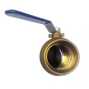 T58570 Nibco 2" Bronze Ball Valve, Inline, FNPT-1
