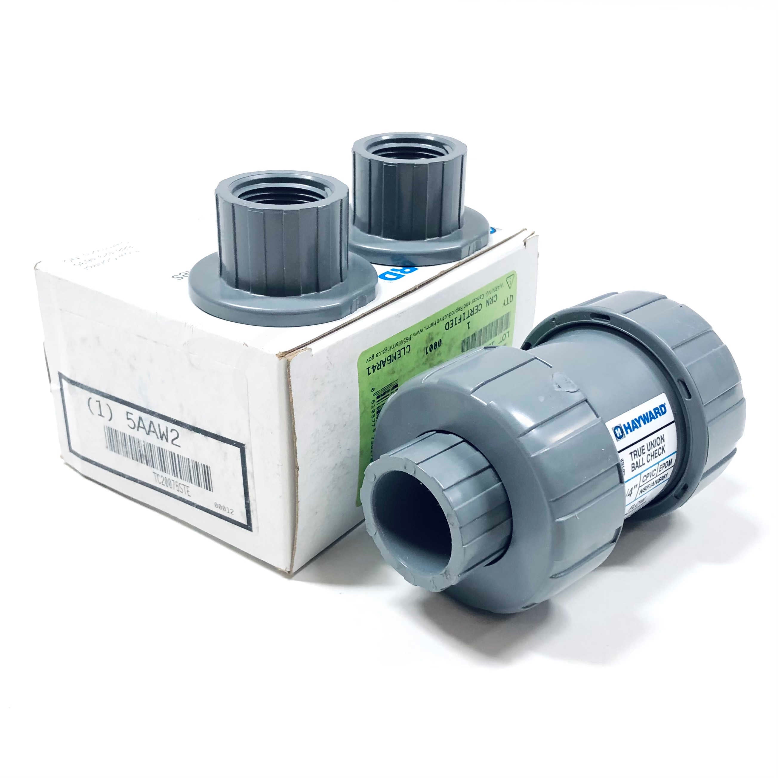 TC20075STE Hayward Check Valve, 3/4"