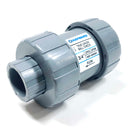 TC20075STE Hayward Check Valve, 3/4"-2