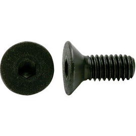 40938 Fastenal M5-0.8 x 12mm Flat Head Socket Cap Screw