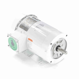 119482.00 Leeson Washguard Motor, 2 HP, 3600 RPM