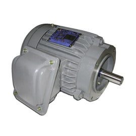 EPV0022C 2 HP Teco-Westinghouse Cast Iron Electric Motor, 3600 RPM