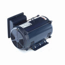 V308M2 Century 5.5HP OEM Replacement Electric Motor, 1200RPM-3