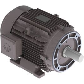 GX3-AL-TF-215TC-4-B-D-10 Techtop 10HP Electric Motor, 1800RPM