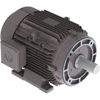 GX3-AL-TF-215TC-4-B-D-10 Techtop 10HP Electric Motor, 1800RPM