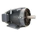 WX3-AL-TF-56C-2-B-D-.75 Techtop 3/4HP Washdown Duty Electric Motor, 3600RPM-1