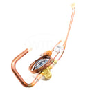 X15111682010 Trane Thermostatic Expansion Valve Assembly-1