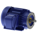 XP0016C Teco-Westinghouse 1HP Explosion Proof Electric Motor, 1200 RPM-8