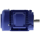 XP0016C Teco-Westinghouse 1HP Explosion Proof Electric Motor, 1200 RPM-7