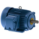 XP0104 Teco-Westinghouse 10HP Explosion Proof Electric Motor, 1800 RPM-2