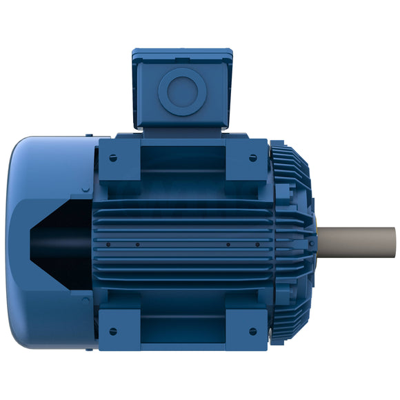 XP1256R Teco-Westinghouse 125HP Explosion Proof Electric Motor, 1200 RPM