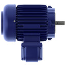 XP1/54C Teco-Westinghouse 1.5HP Explosion Proof Electric Motor, 1800 RPM-4