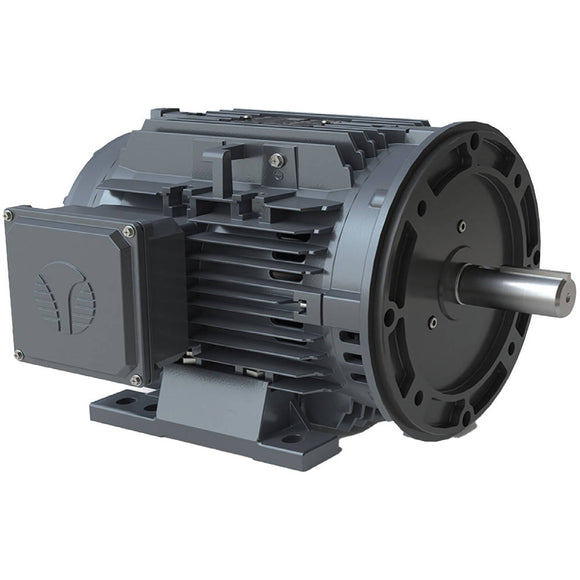 XR3-AL-OP-213TC-2-B-D-10 Techtop 10HP Electric Motor, 3600RPM