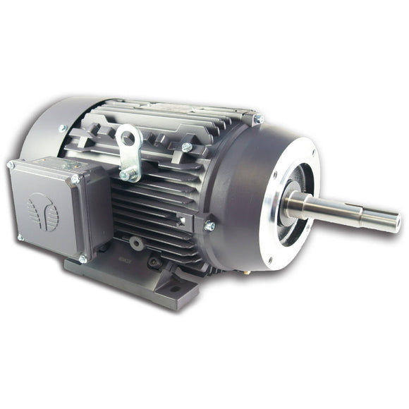 XR3-AL-TF-182JP-4-B-D-3 Techtop 3HP Electric Pump Motor, 1800RPM
