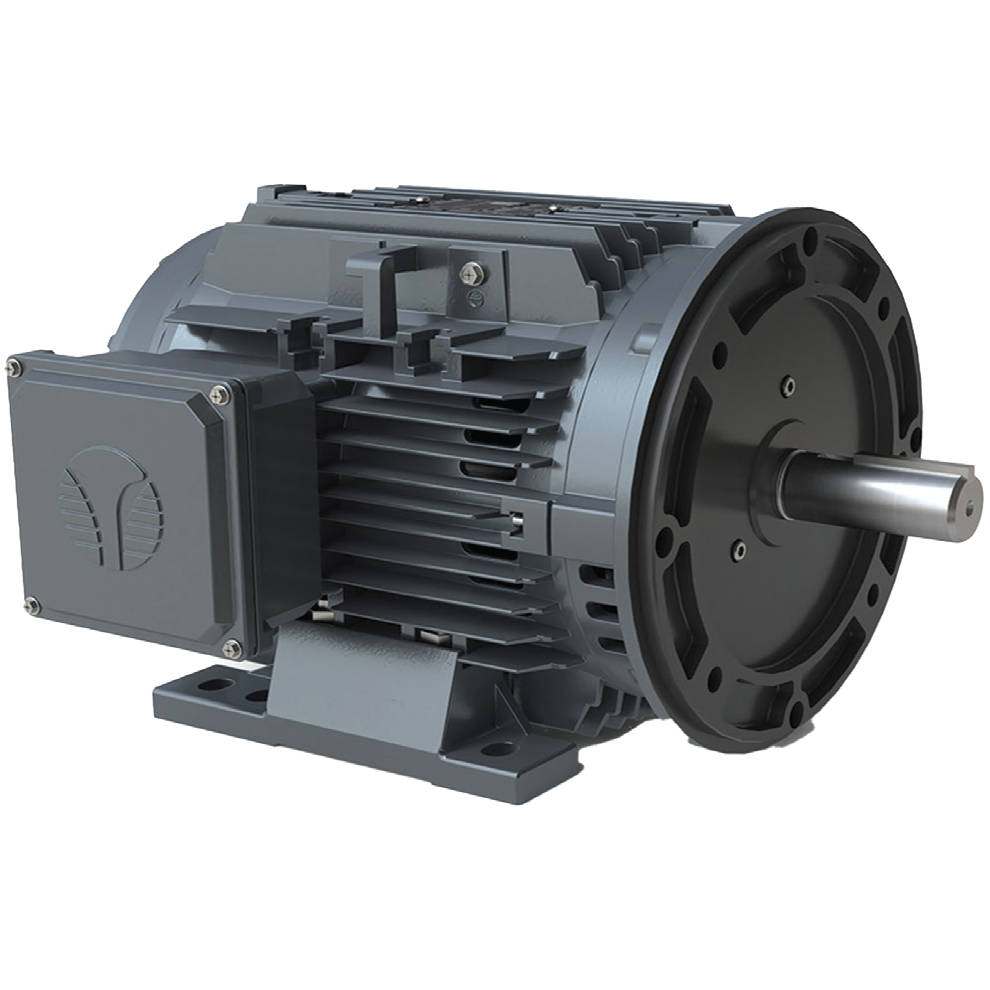 XR3-CI-OP-284TC-4-BR-D-25 Techtop 25HP Electric Motor, 1800RPM