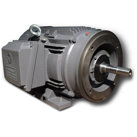 XR3-CI-TF-256JP-6-BR-D-10 Techtop 10HP Electric Pump Motor, 1200RPM