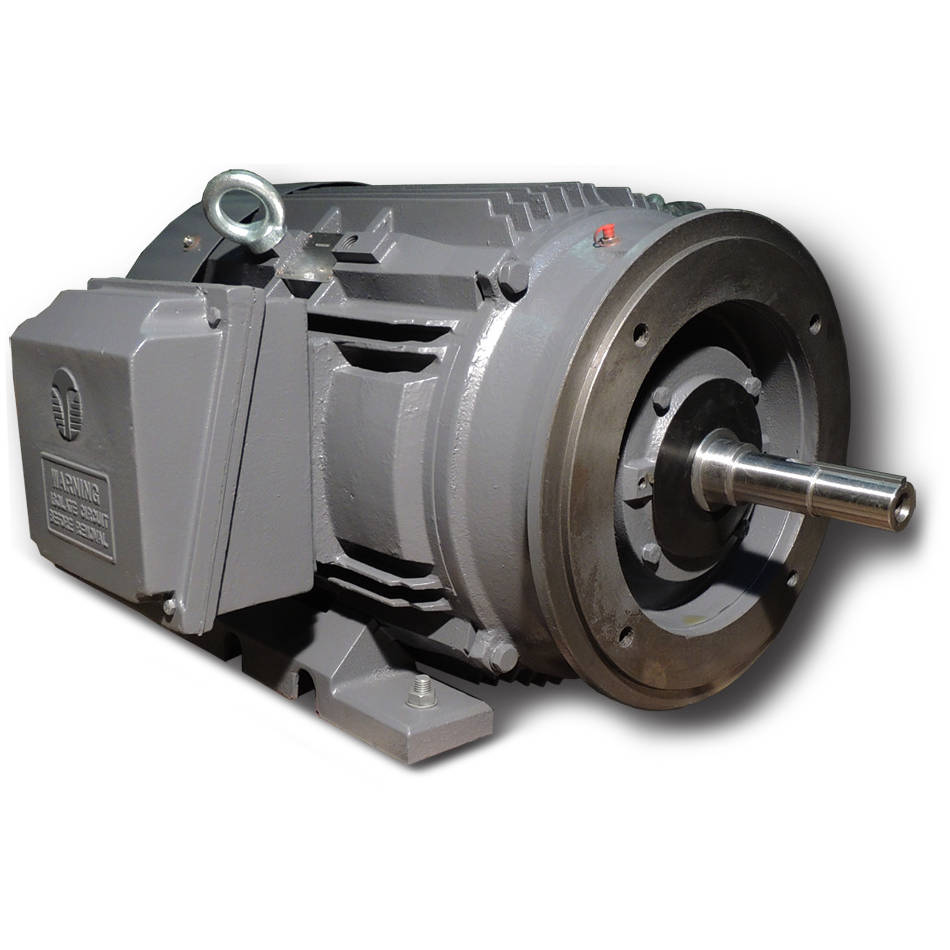 XR3-CI-TF-324JM-2-BR-D-40 Techtop 40HP Electric Pump Motor, 3600RPM