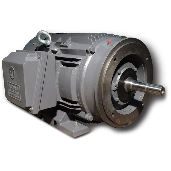 XR3-CI-TF-326JM-6-BR-D-30 Techtop 30HP Electric Pump Motor, 1200RPM