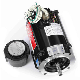 Y602 Marathon 1/2HP Black Max Hazardous Duty Electric Motor, 1800RPM