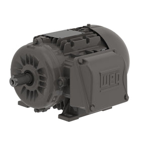 .1809EP3EAL80-W22 WEG 0.25HP/0.18kW IEC TRU-Metic Electric Motor, 900RPM