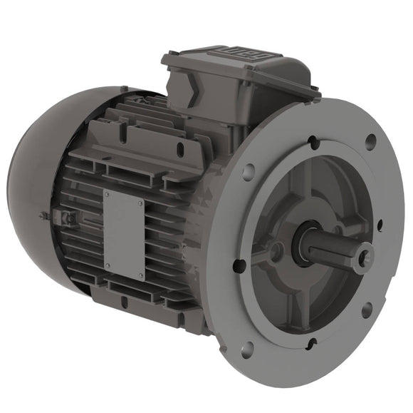 .1818EP3EALR63FF-W22 WEG 1/4HP Aluminum Frame Electric Motor, 1800RPM