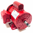 .5018ES1RFDW56CFL-S WEG 1/2HP Farm Duty Electric Motor, 1800RPM-6